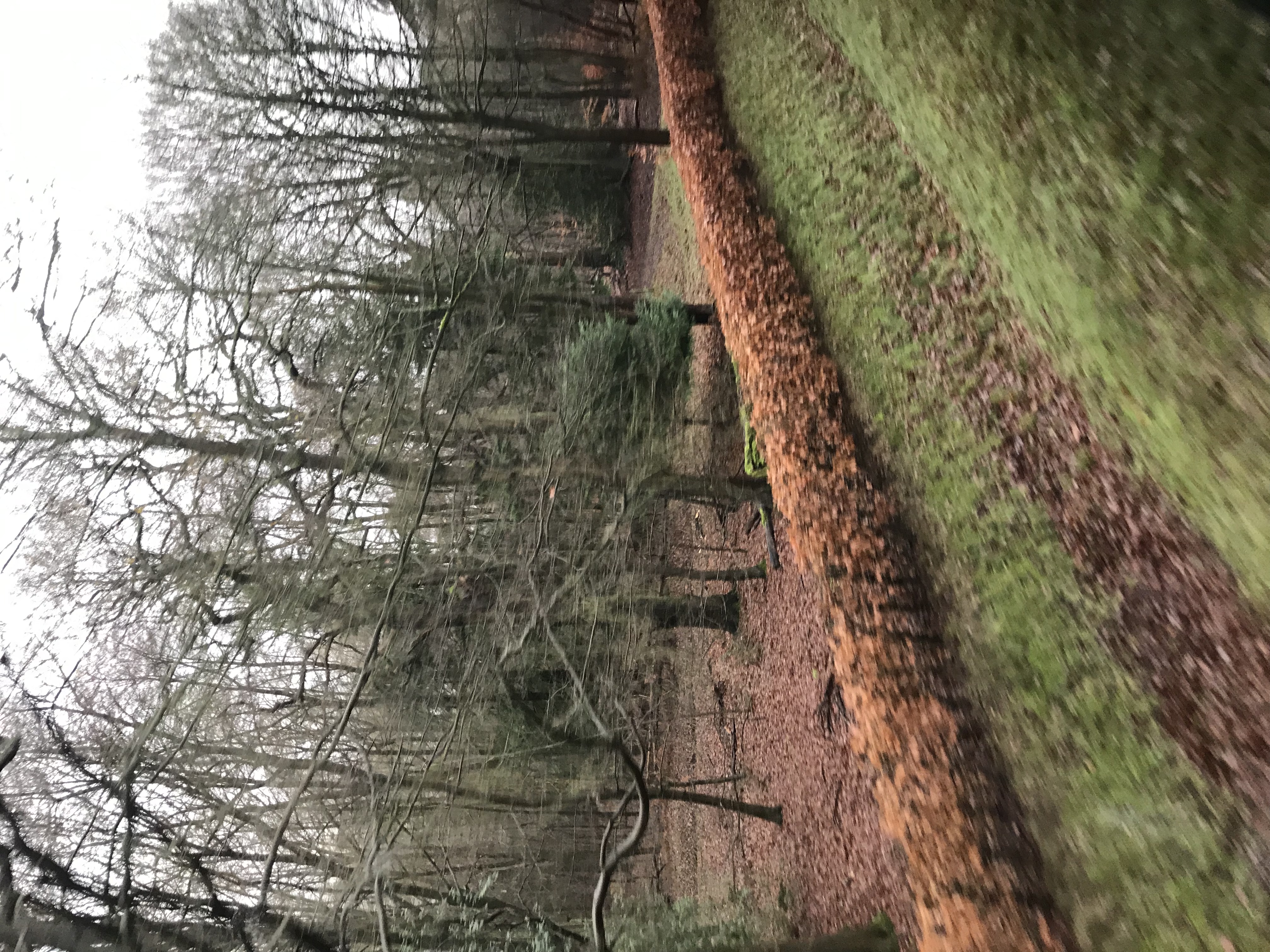 ./2018/15 - London/04 - Day 4/IMG_9235.jpg